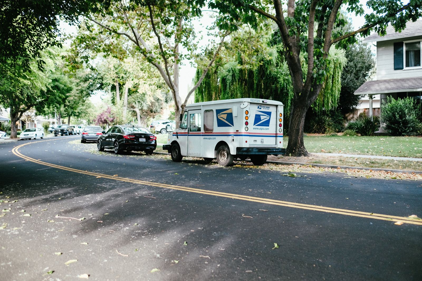 Delivery van parked on a tree-lined street